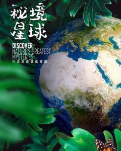 进击的城堡