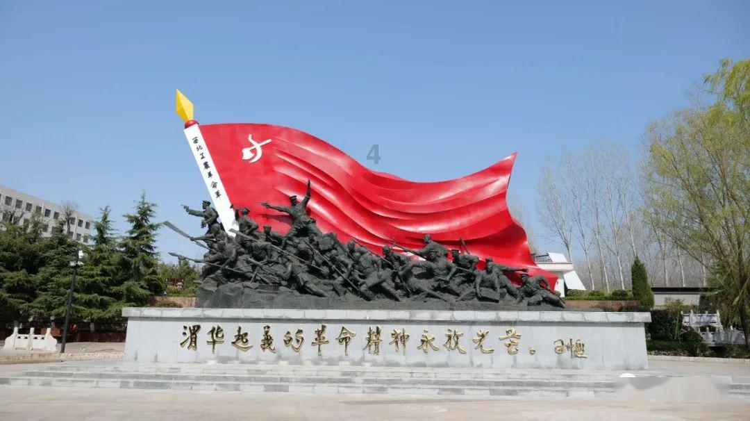 营救小猫头鹰